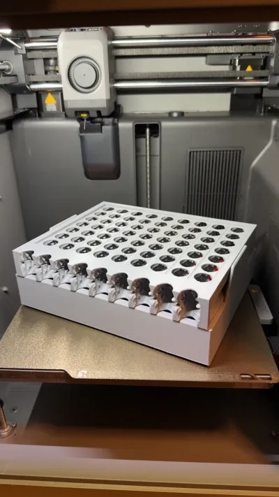 https://makerworld.bblmw.com/makerworld/model/1147260/1150807/ratings/4205b800-d9e3-11f0-bd20-2b42c3740329.jpg