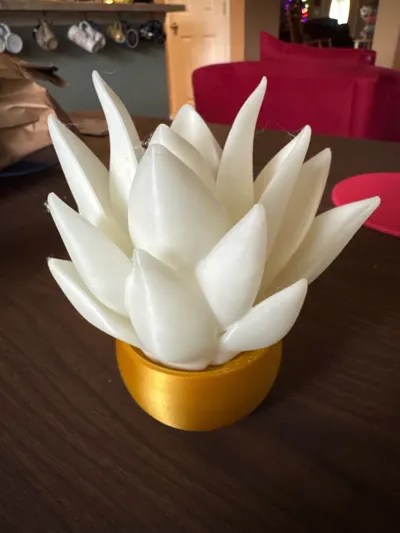 https://makerworld.bblmw.com/makerworld/model/1148795/1152810/ratings/1283c310-2b92-11f0-8776-417a52ed48cf.jpg