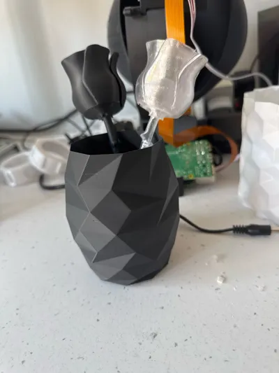 https://makerworld.bblmw.com/makerworld/model/114898/265132/ratings/4b8765a0-729a-11f0-802a-95b06c448d24.jpg