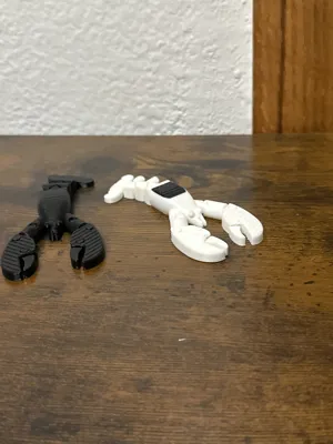 https://makerworld.bblmw.com/makerworld/model/1149674/1153655/ratings/b9e1e6e0-0a4b-11f0-b000-9173accda289.jpg