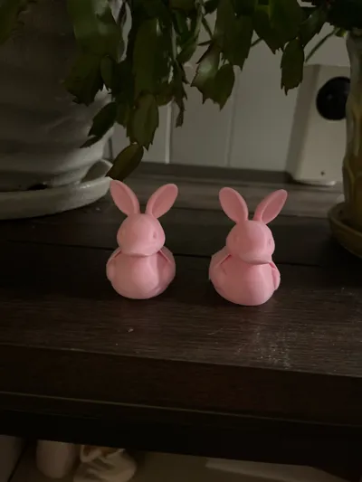 https://makerworld.bblmw.com/makerworld/model/1149773/1153788/ratings/be706ea0-14de-11f0-b4db-7550707c3ce3.jpg