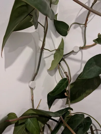 https://makerworld.bblmw.com/makerworld/model/1149869/1153904/ratings/f31629a0-e630-11f0-a721-6194764c6c09.jpg