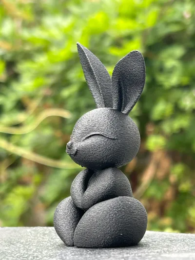 https://makerworld.bblmw.com/makerworld/model/1150439/1154607/ratings/bbfe93e0-6bc8-11f0-a181-63c307fcb7b7.jpg