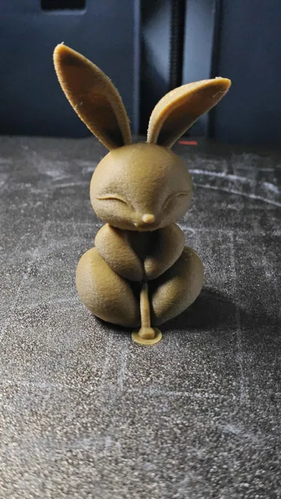 https://makerworld.bblmw.com/makerworld/model/1150439/1154607/ratings/d0f85c20-130f-11f0-9d62-a7f1d8e71667.jpg