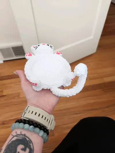 https://makerworld.bblmw.com/makerworld/model/1151225/1155560/ratings/ec28bf50-5ab1-11f0-b37c-a72be24991e9.jpg