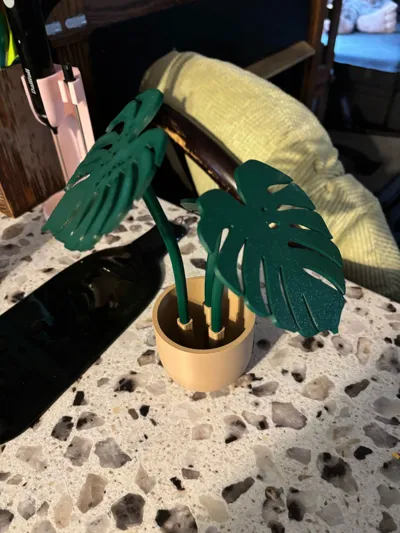 https://makerworld.bblmw.com/makerworld/model/1152449/1156818/ratings/650c0680-ed32-11f0-aee0-c7c49bc3eba8.jpg