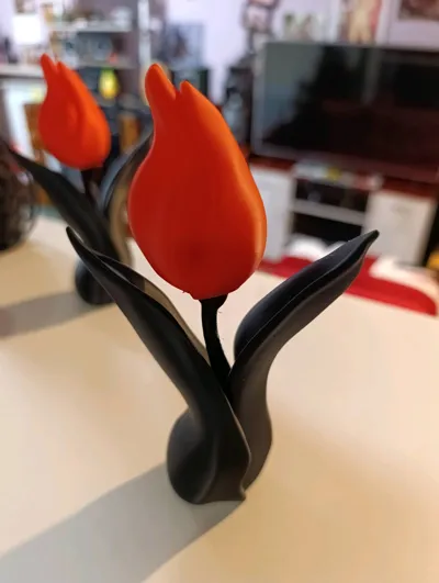 https://makerworld.bblmw.com/makerworld/model/1152518/1156918/ratings/5ea74140-b733-11f0-adfe-43f3408bef85.jpg