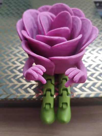 https://makerworld.bblmw.com/makerworld/model/1153226/1157787/ratings/86c5d930-0a2b-11f0-9265-f979c722c73b.jpg