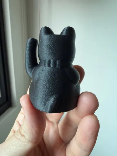 https://makerworld.bblmw.com/makerworld/model/1153569/1158169/ratings/8eb91490-f28d-11f0-bae3-f1e7378cb186.jpg