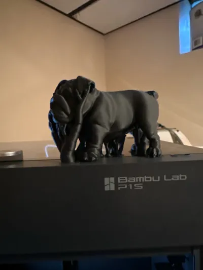 https://makerworld.bblmw.com/makerworld/model/1153658/1158264/ratings/93368a10-1599-11f0-8190-81e8e1789b6c.jpg