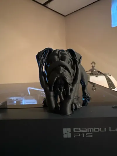 https://makerworld.bblmw.com/makerworld/model/1153658/1158264/ratings/9343a970-1599-11f0-8190-81e8e1789b6c.jpg