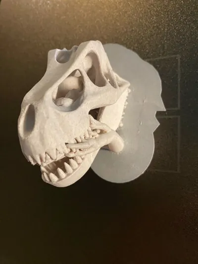 https://makerworld.bblmw.com/makerworld/model/1154430/1159224/ratings/842fbdf0-7437-11f0-a946-a54e613106c9.jpg