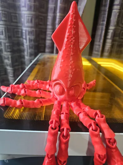 https://makerworld.bblmw.com/makerworld/model/1155267/1220547/ratings/a158ecc0-20be-11f0-afb4-59445e4de402.jpg