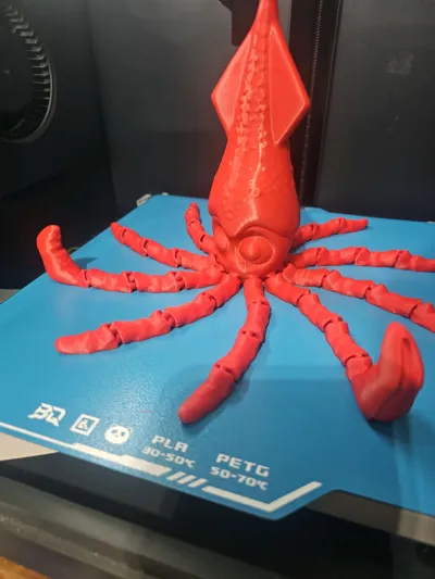 https://makerworld.bblmw.com/makerworld/model/1155267/1220547/ratings/a15ee030-20be-11f0-afb4-59445e4de402.jpg