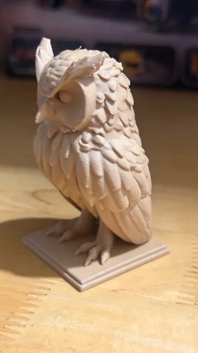 https://makerworld.bblmw.com/makerworld/model/1155327/1170930/ratings/17b9ec00-507d-11f0-8a82-c74058b257fe.jpg