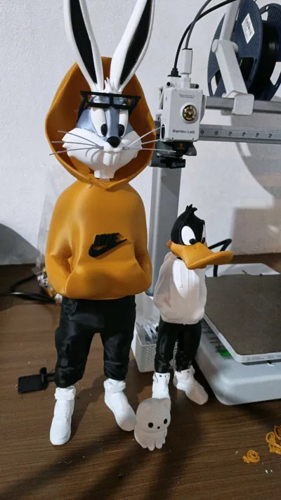 https://makerworld.bblmw.com/makerworld/model/1155426/1182821/ratings/1a36f670-40c5-11f0-9119-99db18ccb6e4.jpg