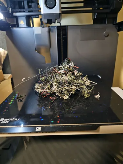 https://makerworld.bblmw.com/makerworld/model/1156265/1161397/ratings/f548f3b0-0cdd-11f0-a484-61c8cfd01d51.jpg