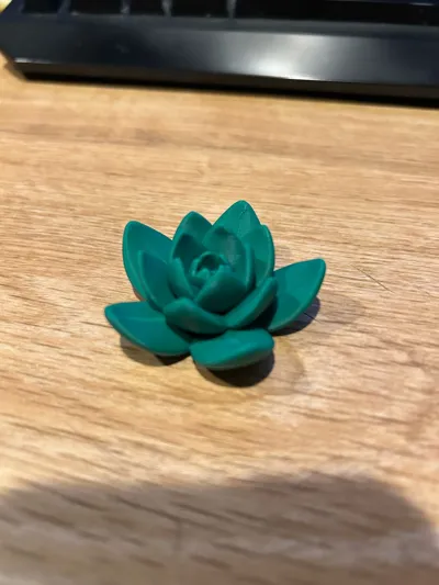 https://makerworld.bblmw.com/makerworld/model/1156868/1162145/ratings/076a5890-6332-11f0-abef-698c811fc6dc.jpg