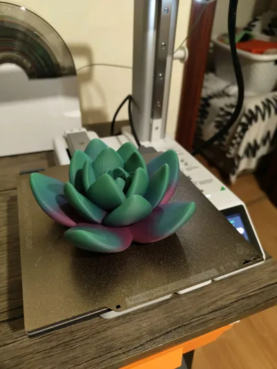 https://makerworld.bblmw.com/makerworld/model/1156868/1162145/ratings/939d4270-2c53-11f0-be28-afe9a9dbcb0c.jpg