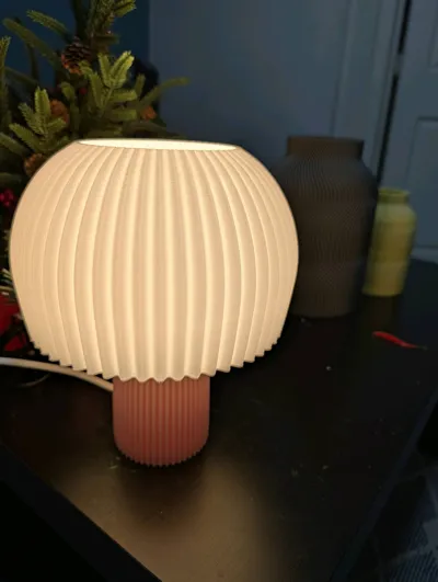 https://makerworld.bblmw.com/makerworld/model/1156908/1162209/ratings/1fe07b30-e513-11f0-80f4-99e6d3d6a7d7.jpg