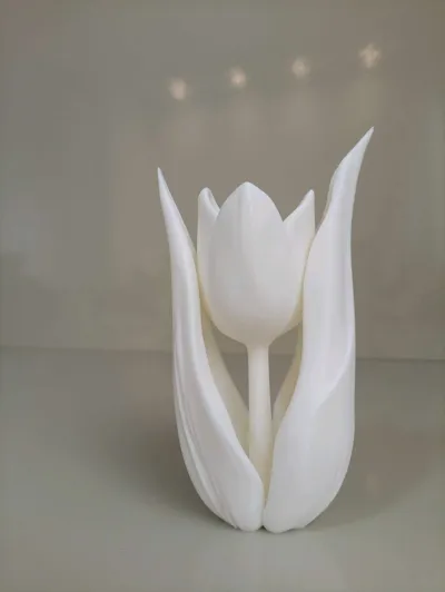 https://makerworld.bblmw.com/makerworld/model/1156937/1162227/ratings/60e1b8a0-09cc-11f1-af86-fda4e6678b67.jpg