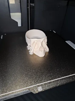 https://makerworld.bblmw.com/makerworld/model/1159193/1164925/ratings/2cc3c000-fa18-11ef-a3ae-819d8bec6f2c.jpg
