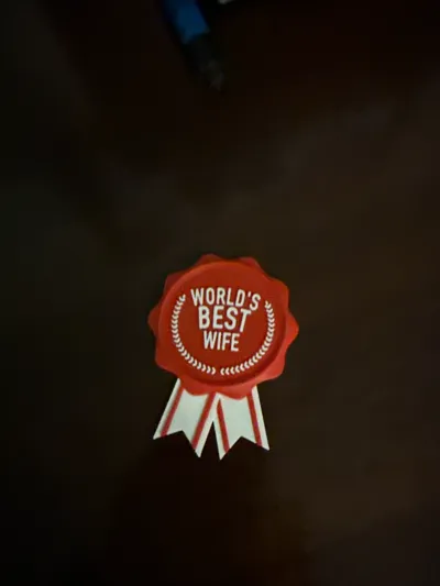 https://makerworld.bblmw.com/makerworld/model/1159791/1165686/ratings/d9f0ac90-7d5b-11f0-bcd9-fd2d9f3ae96e.jpg