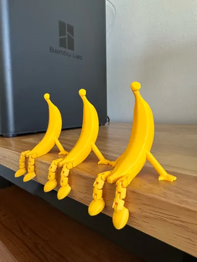 https://makerworld.bblmw.com/makerworld/model/1160526/1166639/ratings/d3aa2810-f48f-11f0-bffe-0d13edb7bd60.jpg