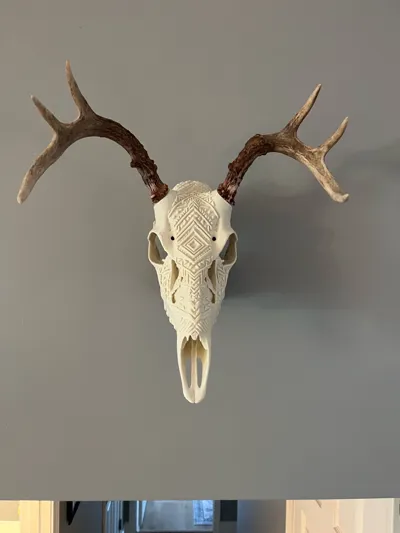 https://makerworld.bblmw.com/makerworld/model/1161566/1167915/ratings/23ce7550-e994-11f0-b52f-5defc750d938.jpg