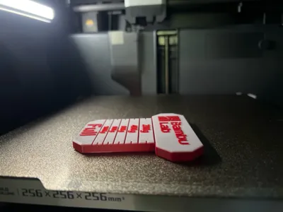 https://makerworld.bblmw.com/makerworld/model/1161927/1168333/ratings/b6d18fd0-3e23-11f0-bfcf-fbf78846b5a7.jpg