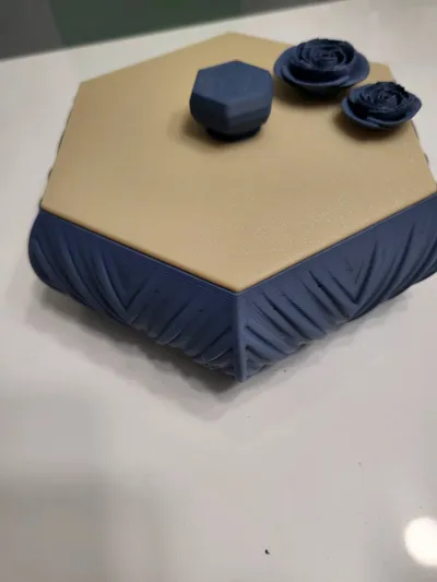 https://makerworld.bblmw.com/makerworld/model/1162957/1169684/ratings/11bba350-b556-11f0-8905-e7273e4692b3.jpg