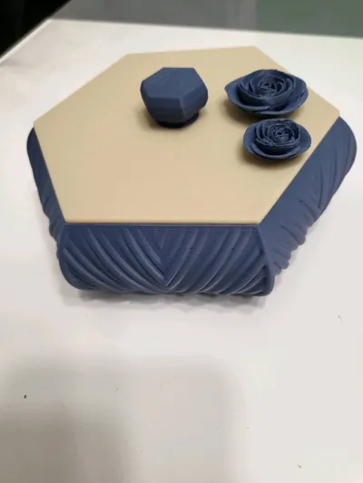 https://makerworld.bblmw.com/makerworld/model/1162957/1169684/ratings/11c407c0-b556-11f0-8905-e7273e4692b3.jpg