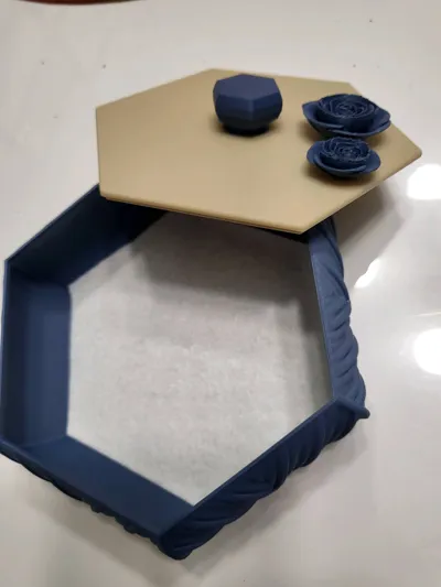 https://makerworld.bblmw.com/makerworld/model/1162957/1169684/ratings/11ca9770-b556-11f0-8905-e7273e4692b3.jpg