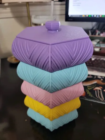 https://makerworld.bblmw.com/makerworld/model/1162957/1169684/ratings/2197e590-29ce-11f0-a904-6965a144ad85.jpg