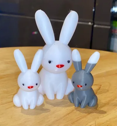https://makerworld.bblmw.com/makerworld/model/1164703/1171831/ratings/39e45840-0e3f-11f0-a275-7bd7f05a5108.jpg