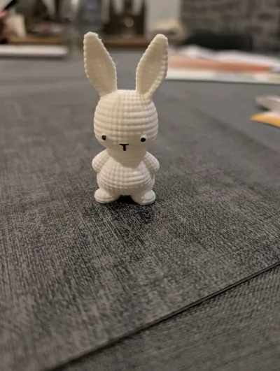 https://makerworld.bblmw.com/makerworld/model/1164726/1171849/ratings/c1358ce0-0a7c-11f0-a042-81049eeb721e.jpg