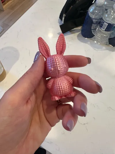 https://makerworld.bblmw.com/makerworld/model/1164726/1171849/ratings/c384bd60-1b2d-11f0-826b-d930536d5ab7.jpg