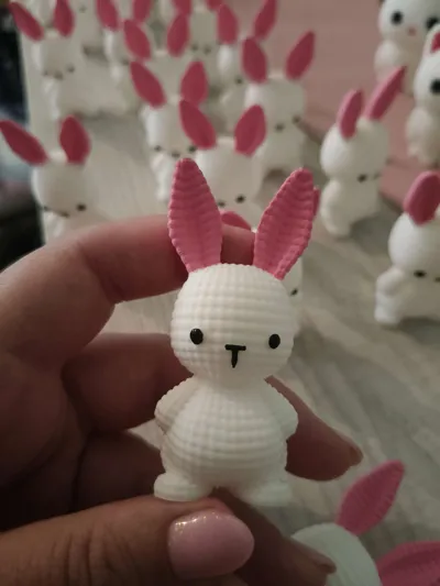https://makerworld.bblmw.com/makerworld/model/1164726/1171849/ratings/d28f41f0-826f-11f0-928b-a771bfef80b3.jpg