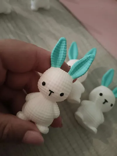 https://makerworld.bblmw.com/makerworld/model/1164726/1171849/ratings/d29a3e70-826f-11f0-928b-a771bfef80b3.jpg