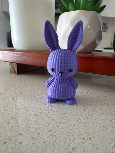 https://makerworld.bblmw.com/makerworld/model/1164726/1171849/ratings/ec790400-8b4a-11f0-8a79-434c5a0b6535.jpg