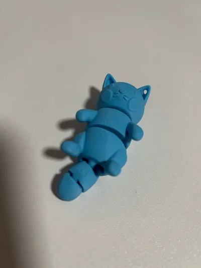 https://makerworld.bblmw.com/makerworld/model/1164844/1171980/ratings/a6614d20-aedf-11f0-95d0-d9984785766f.jpg