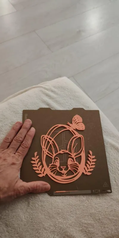 https://makerworld.bblmw.com/makerworld/model/1164897/1172046/ratings/19cd75e0-fa5e-11ef-8155-8b941227c88e.png