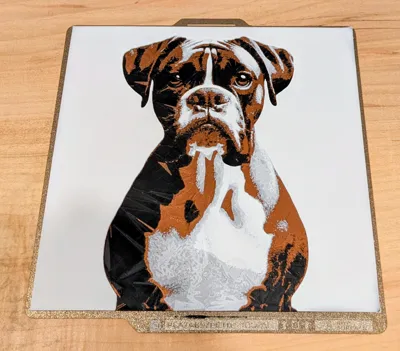 https://makerworld.bblmw.com/makerworld/model/1165597/1172857/ratings/c6fef0c0-b801-11f0-84b4-3f21a73c42a7.jpg