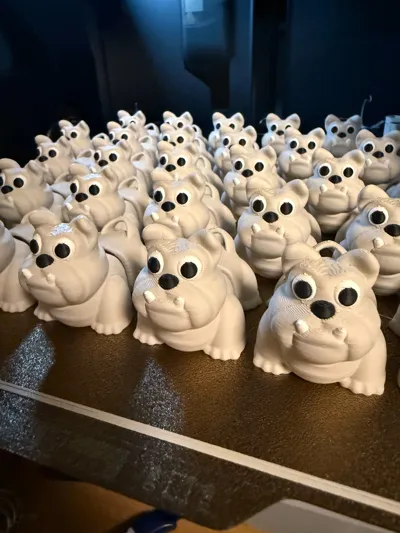 https://makerworld.bblmw.com/makerworld/model/1165718/1172989/ratings/7f243250-15c3-11f0-8f5e-17d155b8a7bd.jpg