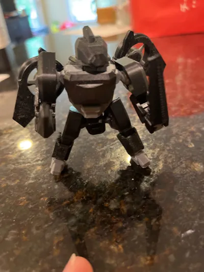 https://makerworld.bblmw.com/makerworld/model/1166169/1173521/ratings/842bcf70-3f07-11f0-b234-5b849c576487.jpg