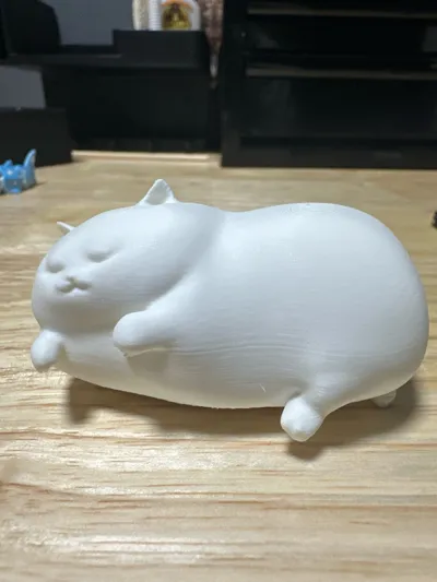 https://makerworld.bblmw.com/makerworld/model/1166219/1173601/ratings/b3ec3000-8107-11f0-a066-49af615315fb.jpg