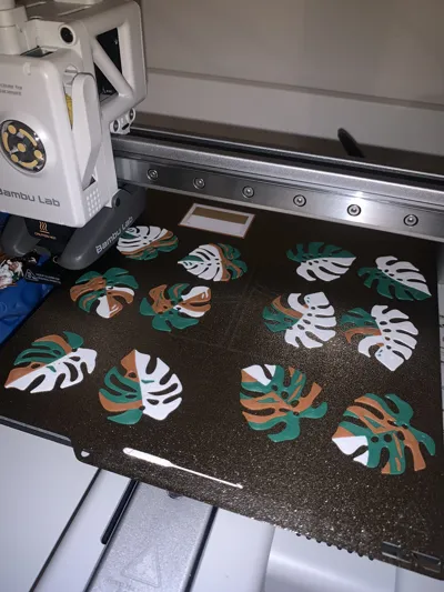 https://makerworld.bblmw.com/makerworld/model/1166598/1174062/ratings/b5853860-076a-11f0-9041-3347122adff8.jpg