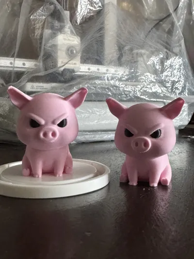 https://makerworld.bblmw.com/makerworld/model/1167695/1175448/ratings/2064e1e0-0210-11f0-a568-a7828fa636ee.jpg