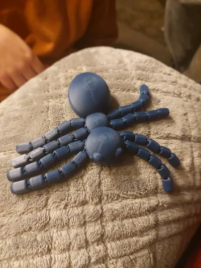 https://makerworld.bblmw.com/makerworld/model/1167966/1175769/ratings/95f1e7a0-afb7-11f0-899e-09a435116276.jpg
