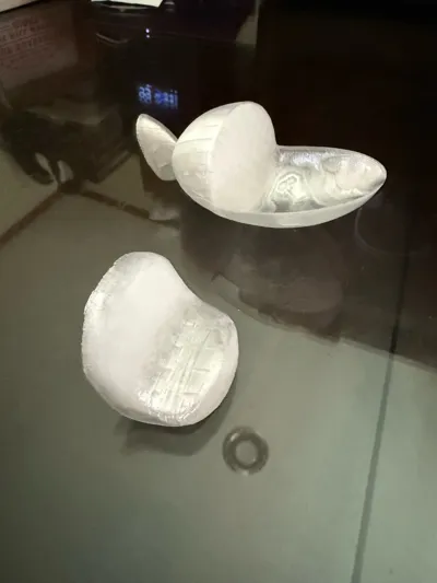 https://makerworld.bblmw.com/makerworld/model/1168040/1175859/ratings/50b6ff30-73f4-11f0-8d57-9bf07739bbdb.jpg